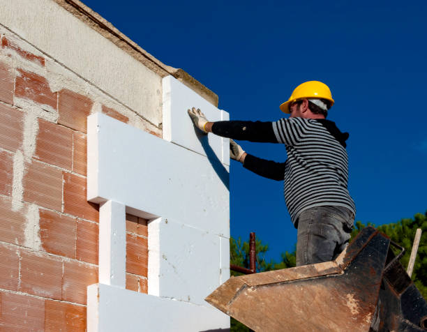 Best Insulation Installation Services in Chesapeake, OH