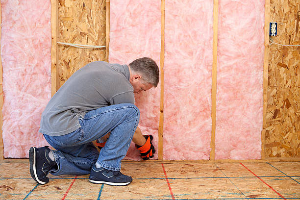 Best Types of Insulation in Chesapeake, OH